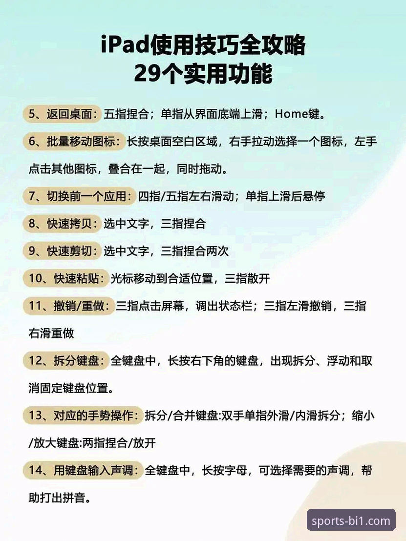 新手必看！必一体育平台实用操作指南与安全体验全解析